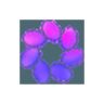 AI Tools